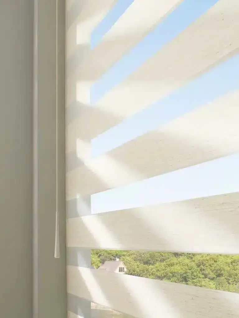 Elegant zebra blinds providing privacy and light control, enhancing home decor with a modern window treatment solution. Perfect for residential and commercial spaces seeking style and functionality.