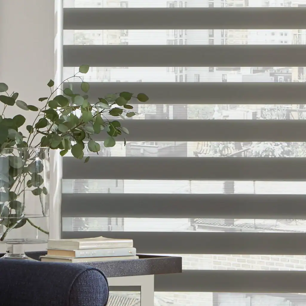 Luxurious zebra blinds with light-filtering design, perfect for modern homes, offering elegant window treatment solutions from Blinds West.